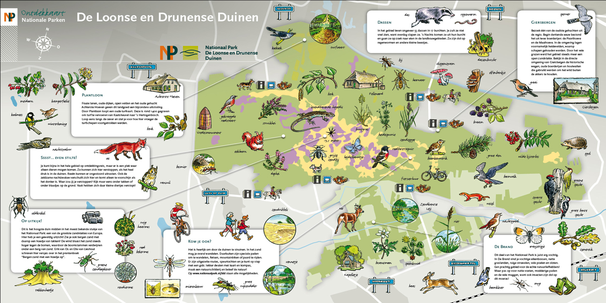 np-drunenseduinen-12x6